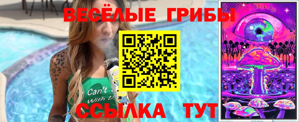 Галлюциногенные грибы Magic Shrooms Киреевск