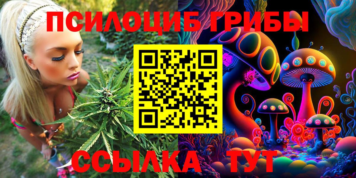 Галлюциногенные грибы Cubensis  Вход с VPN  Киреевск  Псилоцибиновые грибы Psilocybe 